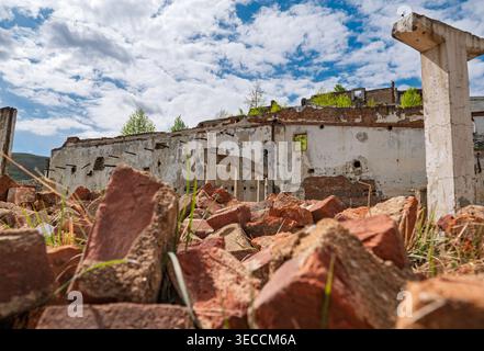 Vista ravvicinata dei mattoni rotti con le rovine di un edificio sullo sfondo, in un paesaggio graduale pieno di erbacce Foto Stock