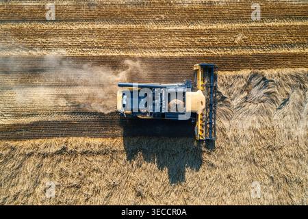 Vista dall'alto verso il basso della mietitrebbiatrice che taglia il grano durante la stagione del raccolto in un campo agricolo rurale Foto Stock