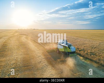 La vista aerea cattura la mietitrebbiatrice che lavora diligentemente su un vasto campo di grano dorato al tramonto, sollevando la polvere Foto Stock