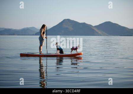 Una donna fa un giro su una tavola con due cani in acqua piatta. La scena calma include riflessi completi del gruppo e dello sfondo. Foto Stock