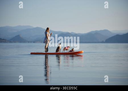 Una giovane donna sta con tre cani su un'ampia tavola da paddle su un lago tranquillo. La scena cattura riflessi e paesaggi collinari lontani. Foto Stock