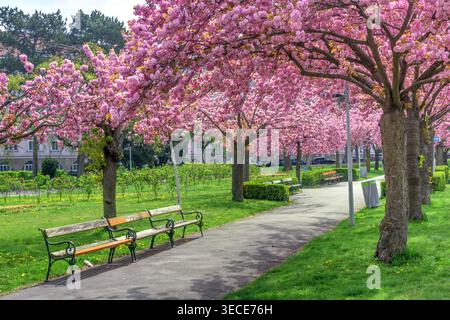 Wien, Herderpark // Vienna, Herderpark Foto Stock