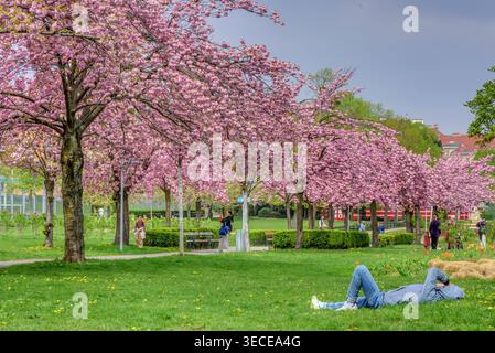 Wien, Herderpark // Vienna, Herderpark *** Vienna, Herderpark Vienna, Herderpark Foto Stock