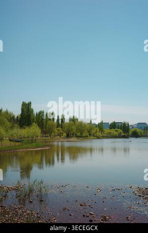 Tranquillo lago urbano che riflette pioppi lombardi primaverili e salici piangenti in un parco pubblico, con moderni edifici in vetro visibili all'orizzonte. Foto Stock