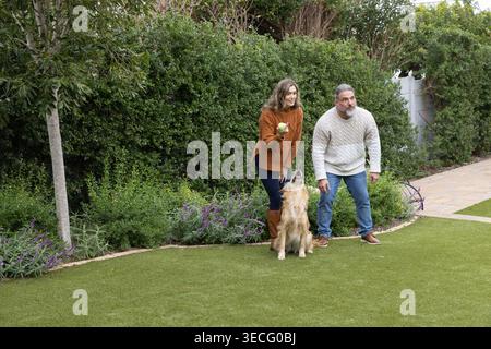 Coppia che tiene in mano la palla da tennis accovacciandosi e sollecitando Golden retriever sul prato vicino ai fiori viola. Cane, cortile, giardino, siepe, sentiero, fiori, famiglia Foto Stock