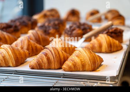 Croissant appena sfornati su una teglia rinfrescante su una griglia. A Parigi. Foto Stock