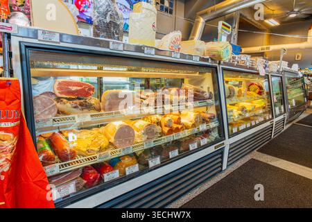 Kansas, Stati Uniti, 17 GENNAIO 2026 - file di carni assortite, salsicce e forme di formaggio si trovano dietro il bicchiere di un luminoso negozio di specialità gastronomiche Foto Stock