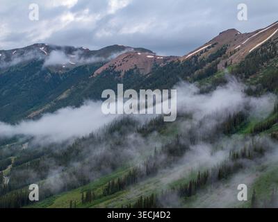 Vista aerea delle cime nebbiose ricoperte da fitte foreste di pini con basse nuvole che attraversano gli alberi sotto un cielo coperto. Foto Stock