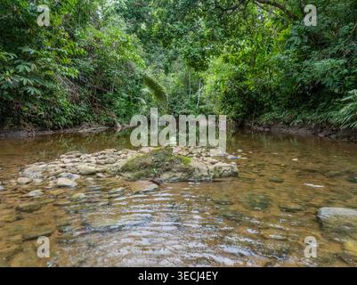 Vista aerea di un piccolo ruscello che scorre attraverso una fitta foresta pluviale tropicale con lussureggianti alberi verdi e letto roccioso sul fiume. Foto Stock