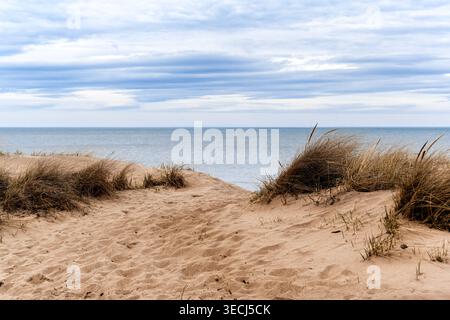Dune di sabbia sul lago Michigan, con grumi di erba e canne, sullo sfondo di acqua e cielo nuvoloso. Foto Stock