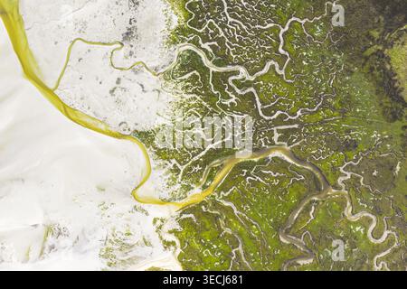 Vista aerea degli intricati schemi di paludi salate con canali d'acqua serpeggianti e vegetazione verde su distese di sabbia bianca a Goulven, Bretagna, Foto Stock