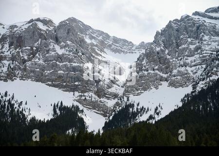 Aspre cime calcaree e ripide scogliere coperte di neve nelle montagne Cadi-Moixero, con sottobosco di pini scuri e un morbido cielo invernale coperto. Foto Stock