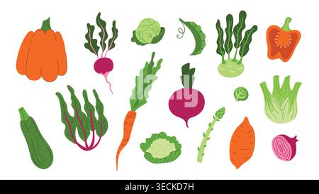 Set di verdure mature trafilate a mano e insalata isolate su sfondo bianco. Zucca, pepe, cipolla, patate dolci, ravanello, carote, cavolo, finocchio, asparagi, cavolfiore, barbabietola, zucchine, piselli Illustrazione Vettoriale