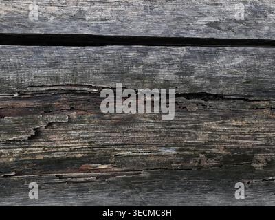 Un primo piano di tavole di legno orizzontali intemprate che mostrano segni di forte invecchiamento, marciume e decadimento. Foto Stock