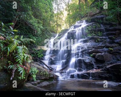 Una cascata a più livelli scorre su rocce muschiate a Sylvia Falls sul sentiero Valley of Waters a Wentworth Falls NSW, circondato da una lussureggiante foresta. Foto Stock