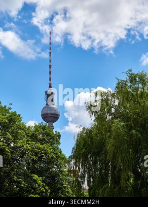 Torre della televisione di Berlino Fernsehturm che sorge sopra gli alberi verdi nel Parco estivo, Germania Foto Stock