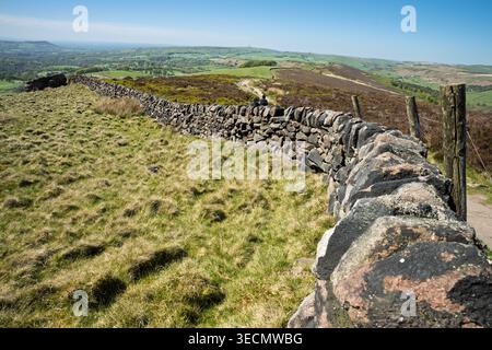 Annidato tra le pittoresche colline dello Staffordshire, un'affascinante parete di drystone si snoda attraverso una vegetazione lussureggiante, collegando il paesaggio sotto un limpido, Foto Stock