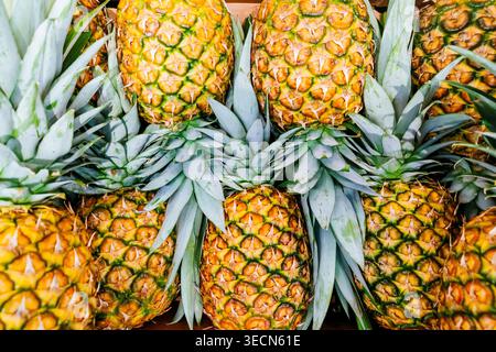 Ananas esposti in un mercato. Madrid, Comunidad de Madrid, Spagna, Europa Foto Stock