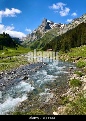 Suggestivo paesaggio alpino con ruscello Sousbach cristallino, prati verdi e montagne, Lauterbrunnen, Oberland Bernese, Svizzera Foto Stock