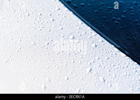 Vista ravvicinata delle goccioline d'acqua piovana su un cofano bianco pulito. Foto Stock