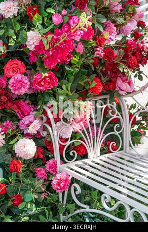 Panca bianca in ferro battuto immersa in una lussureggiante parete di fiori primaverili con vivaci fiori rosa e rossi, fogliame verde e romantica atmosfera da giardino, ideale per Foto Stock