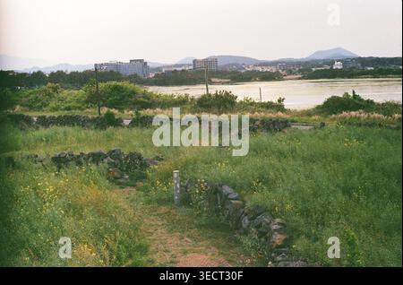 Campo di campagna di Jeju con pareti in pietra e vista sulla costa Foto Stock