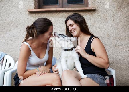 Due giovani donne siedono all'aperto su un patio mentre un giocoso cucciolo di Border collie dà un bacio, catturando una gioiosa amicizia, l'amore per gli animali domestici e l'estate rilassata li Foto Stock