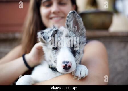Ritratto ravvicinato di un simpatico cucciolo di collie che riposa tra le braccia di una donna su gradini all'aperto, mostrando pellicce morbide e occhi luminosi, perfetto per animali domestici e fami Foto Stock