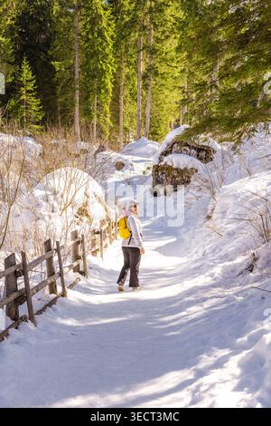 Un escursionista cammina lungo un sentiero boschivo innevato vicino al lago di Carezza in inverno, circondato da pini e dalla luce del sole in alto Adige, provincia di Bolzano, Italia. Foto Stock