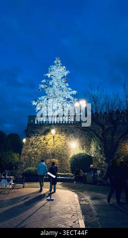 Firenze, Italia, 3 gennaio 2026. Grande albero di Natale illuminato a piazzale Michelangelo con folla di turisti di notte. Foto Stock