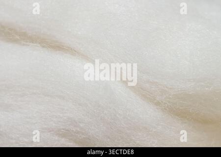 Lana di pecora bianca sfondo delicato Foto Stock