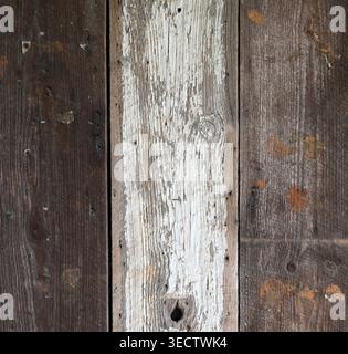 Superficie della parete in legno recuperata con venatura e nodi di legno visibili e una tavola centrale dipinta di bianco raschiata con foro per nodo Foto Stock