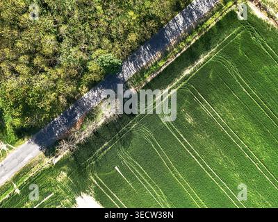 Foresta, asfalto e grano verde in questa foto nadir, dall'alto verso il basso con drone Foto Stock