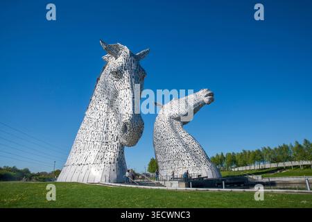 I Kelpies a Falkirk, in Scozia, sotto il cielo azzurro e soleggiato. Le iconiche sculture a testa di cavallo sono un importante punto di riferimento scozzese dell'artista Andy Scott Foto Stock