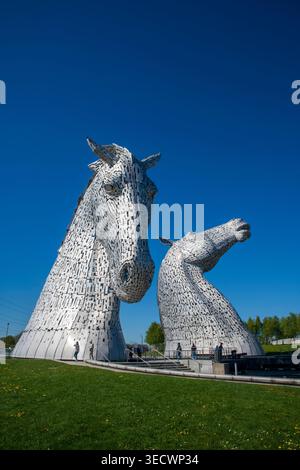 I Kelpies a Falkirk, in Scozia, sotto il cielo azzurro e soleggiato. Le iconiche sculture a testa di cavallo sono un importante punto di riferimento scozzese dell'artista Andy Scott Foto Stock
