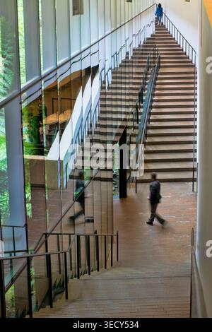 Design architettonico straordinario del Museo DeYoung di San Francisco, CA Foto Stock
