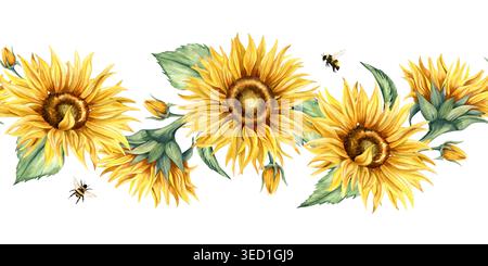Bordo senza cuciture di girasole con acquerello. Striscione botanico disegnato a mano raffigurante fiori gialli, foglie verdi e insetti isolati Foto Stock