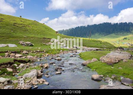 Un paesaggio pittoresco caratterizzato da un limpido ruscello di montagna che si snoda attraverso un vibrante prato verde a Gulmarg, Kashmir, con foreste di pini e cieli blu Foto Stock