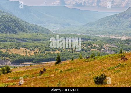 Mount St. Helens Volcanic Monument, Washington, USA - 23 giugno 2025: Gli escursionisti esplorano i vivaci prati di fiori selvatici. Foto Stock
