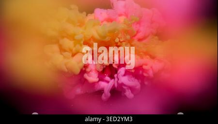 Flusso di vernice. Acqua di fumo. Sfocatura di colore giallo rosa viola glitter vorticoso effetto foschia liquida che galleggia su uno sfondo creativo acrilico astratto. Foto Stock