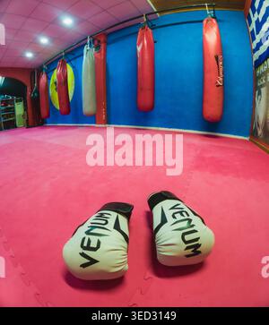 Vista grandangolare di una palestra di kickboxing vuota con guanti da boxe bianchi appoggiati su tappetini da allenamento rosa con pesanti sacchetti di punzonatura appesi contro a vi Foto Stock