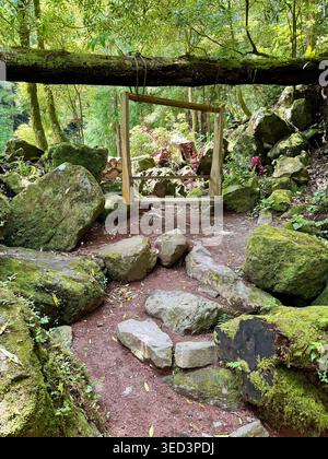 Un telaio rustico in legno sospeso da un tronco d'albero caduto nel lussureggiante paesaggio vulcanico del Parque Grená sull'isola di São Miguel, Azzorre. Foto Stock