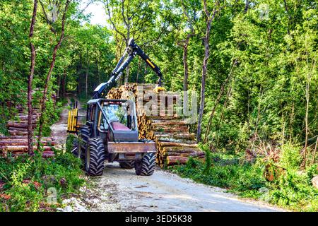 Trattore con gru per macchine forestali e benna a polipo Kesla per la raccolta commerciale - Francia centrale. Foto Stock