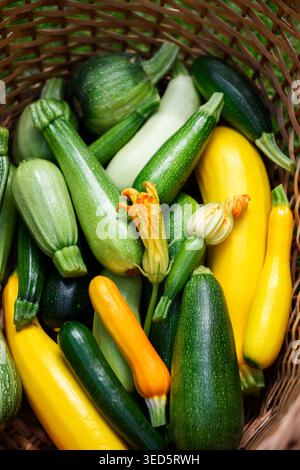 Cestino ripieno di zucchine e fiori assortiti, verdure biologiche fresche, concetto di raccolta agricola. Vista dall'alto verde e giallo squash, consistenza naturale, prodotti stagionali sani Foto Stock
