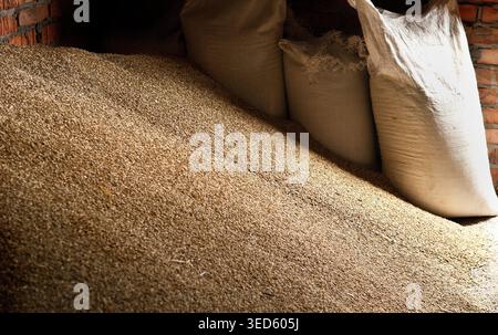 Grani di grano in sacchi al deposito della macina, sfondo Foto Stock