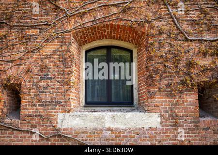 Finestra ad arco nella vecchia muraglia di mattoni. Storica finestra ad arco incastonata in una parete di mattoni rossi intemprati ricoperta da viti rampicanti e foglie autunnali. Foto Stock