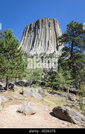 Devils Tower National Monument Rock Formation incorniciata da Pine tre Foto Stock