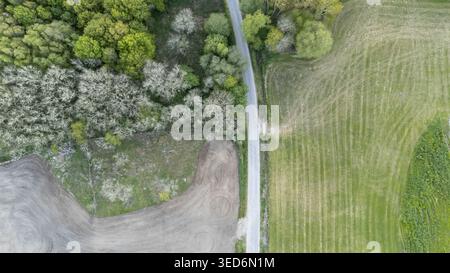 Vista aerea di una stretta strada asfaltata che passa tra una lussureggiante foresta verde e campi agricoli coltivati con motivi di terra coltivata Ourense e Provin Foto Stock