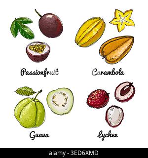 Icone vettoriali del cibo della frutta. Schizzo colorato di prodotti alimentari. Colore Illustrazione Vettoriale