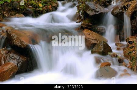 Un tranquillo ruscello della foresta scorre su rocce marroni bagnate, creando un effetto morbido e sfocato con il suo movimento Foto Stock